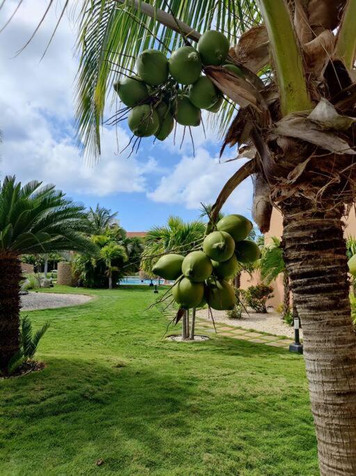 Apartamento Jardines del Mar Palm Beach Exterior foto