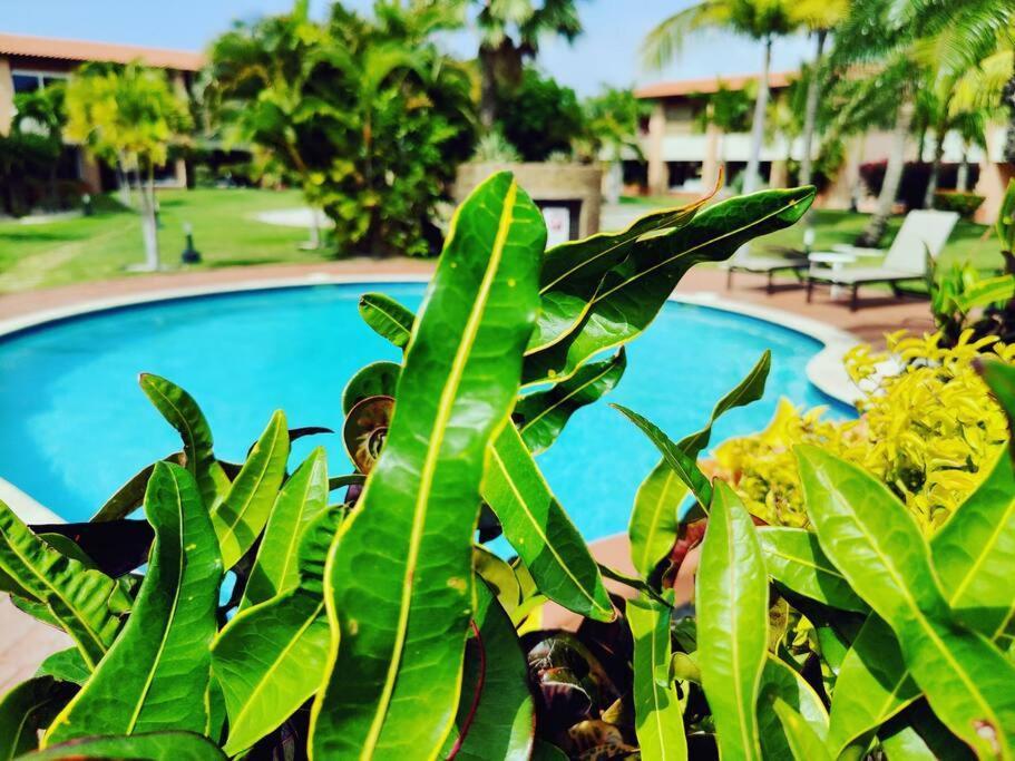 Apartamento Jardines del Mar Palm Beach Exterior foto